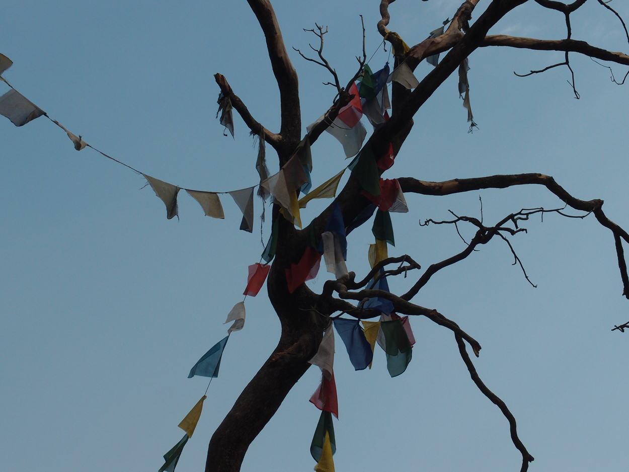 2018-01-14 13 Uhr - Am Tempel (Audio, Foto) 